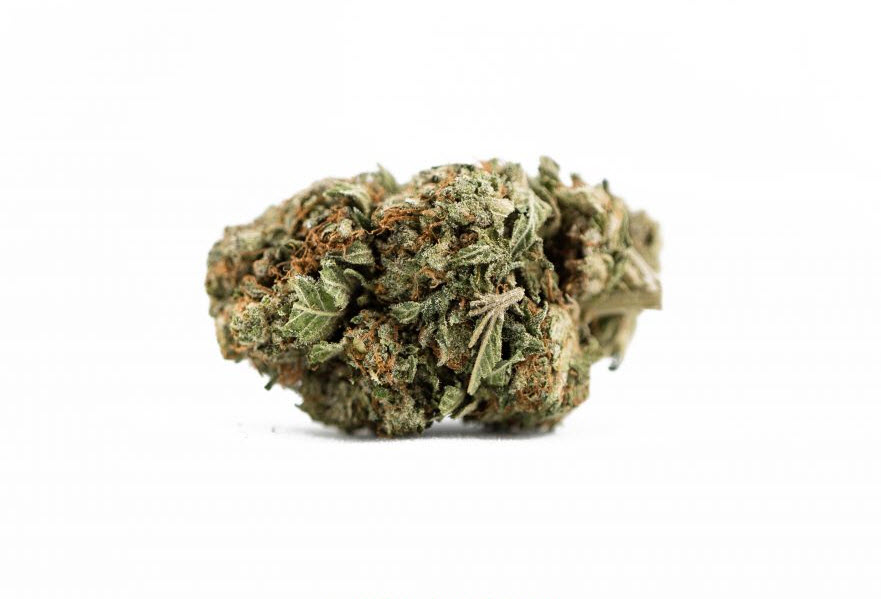 Bruce Banner • Cannabis Flower • AAA• 29% THC