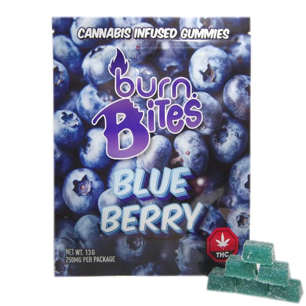 Burn Bites • 25mg THC Gummies • Blueberry