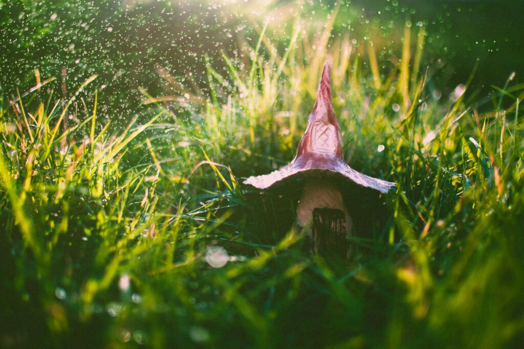 A mystical mushroom amidst lush grass with sunlight and sparkling water droplets.