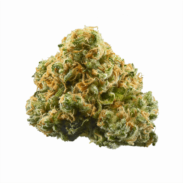 Pineapple Express • Cannabis Flower • AAA Grade