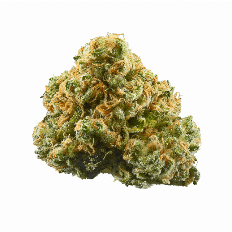 Pineapple Express • Cannabis Flower • AAA Grade