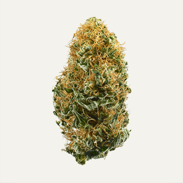 Peanut Butter Breath • Cannabis Flower • AAA Grade