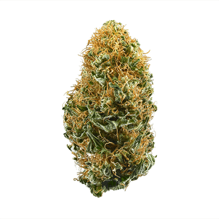 Peanut Butter Breath • Cannabis Flower • AAA Grade